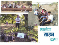 Let's Help Each Other - Loksatta